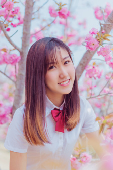 老司机什么意思